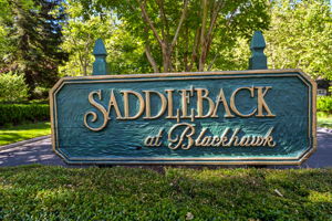  14 Saddleback Ct, Danville, CA 94506, US Photo 47