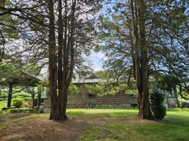  Photo 40