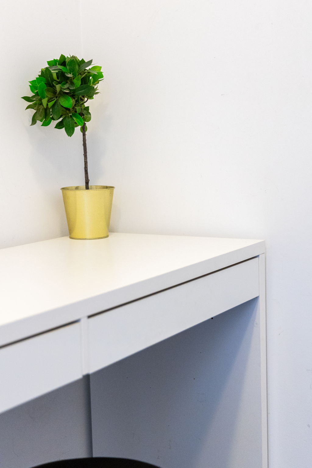 Toronto property showcase — delivered property photograph 23