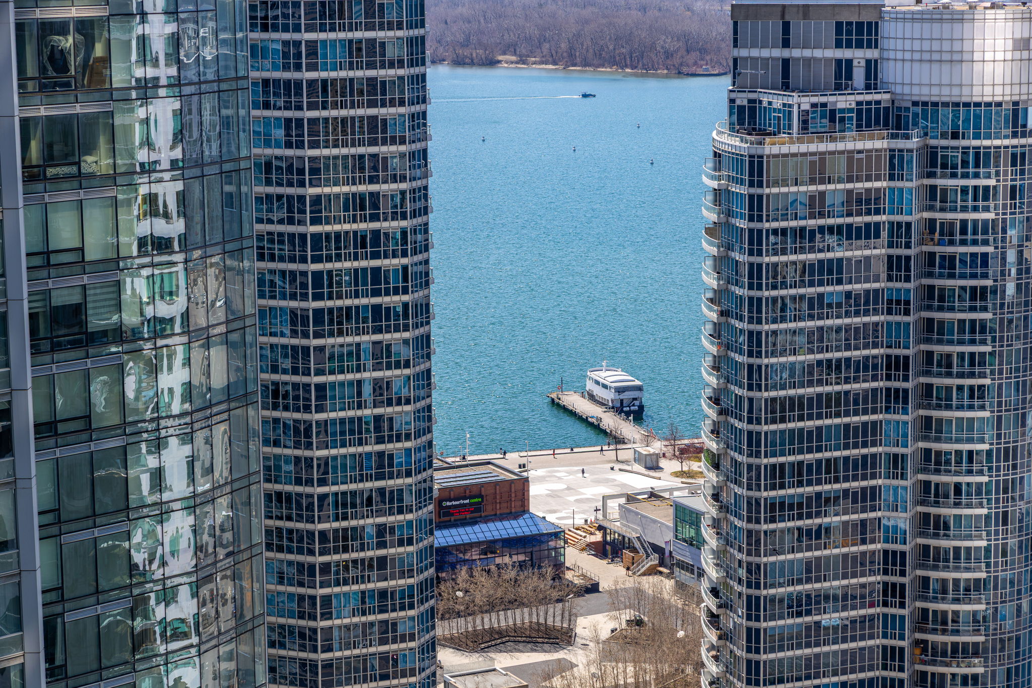 Toronto property showcase — delivered property photograph 31