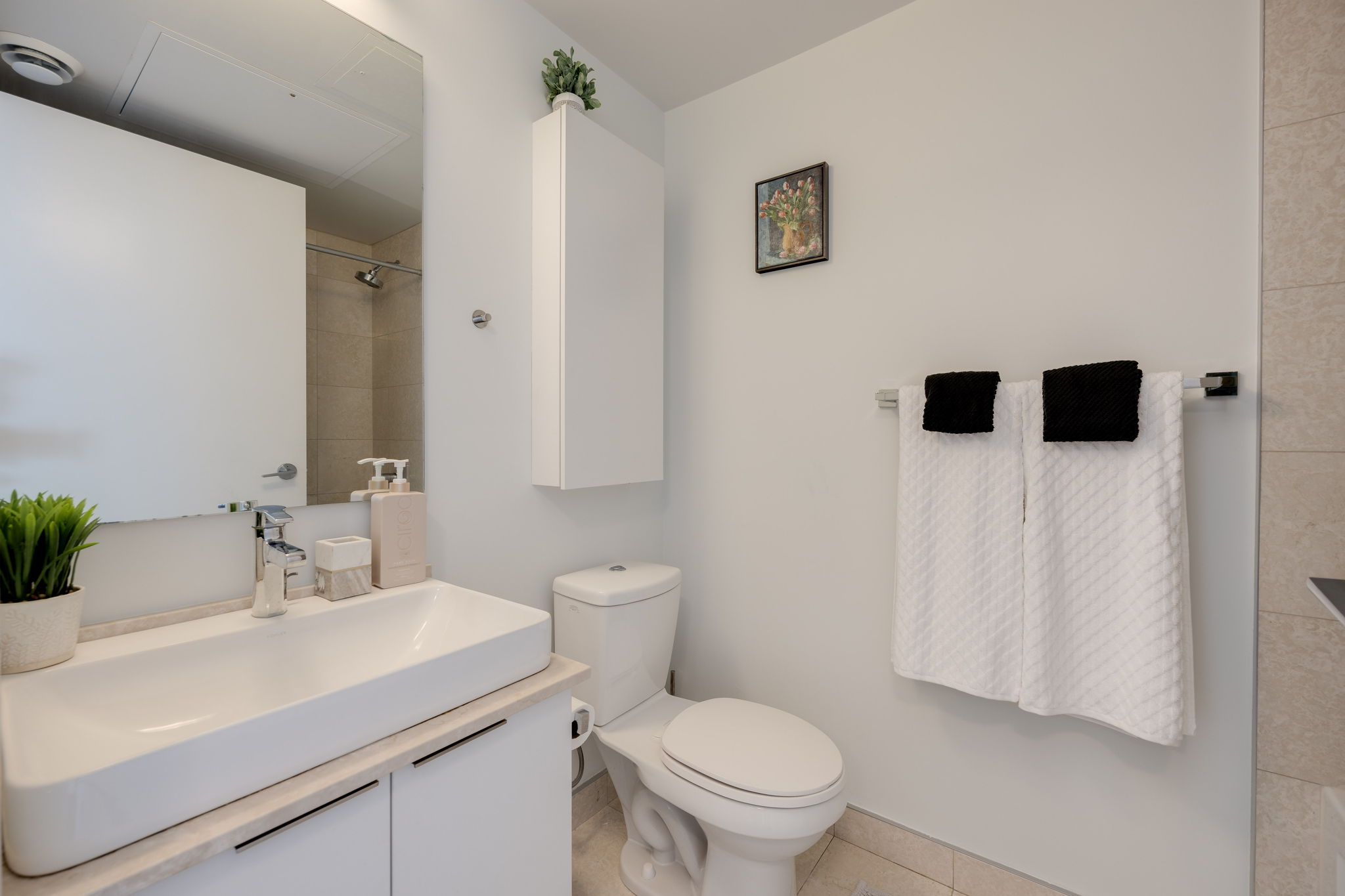 Toronto property showcase — delivered property photograph 12