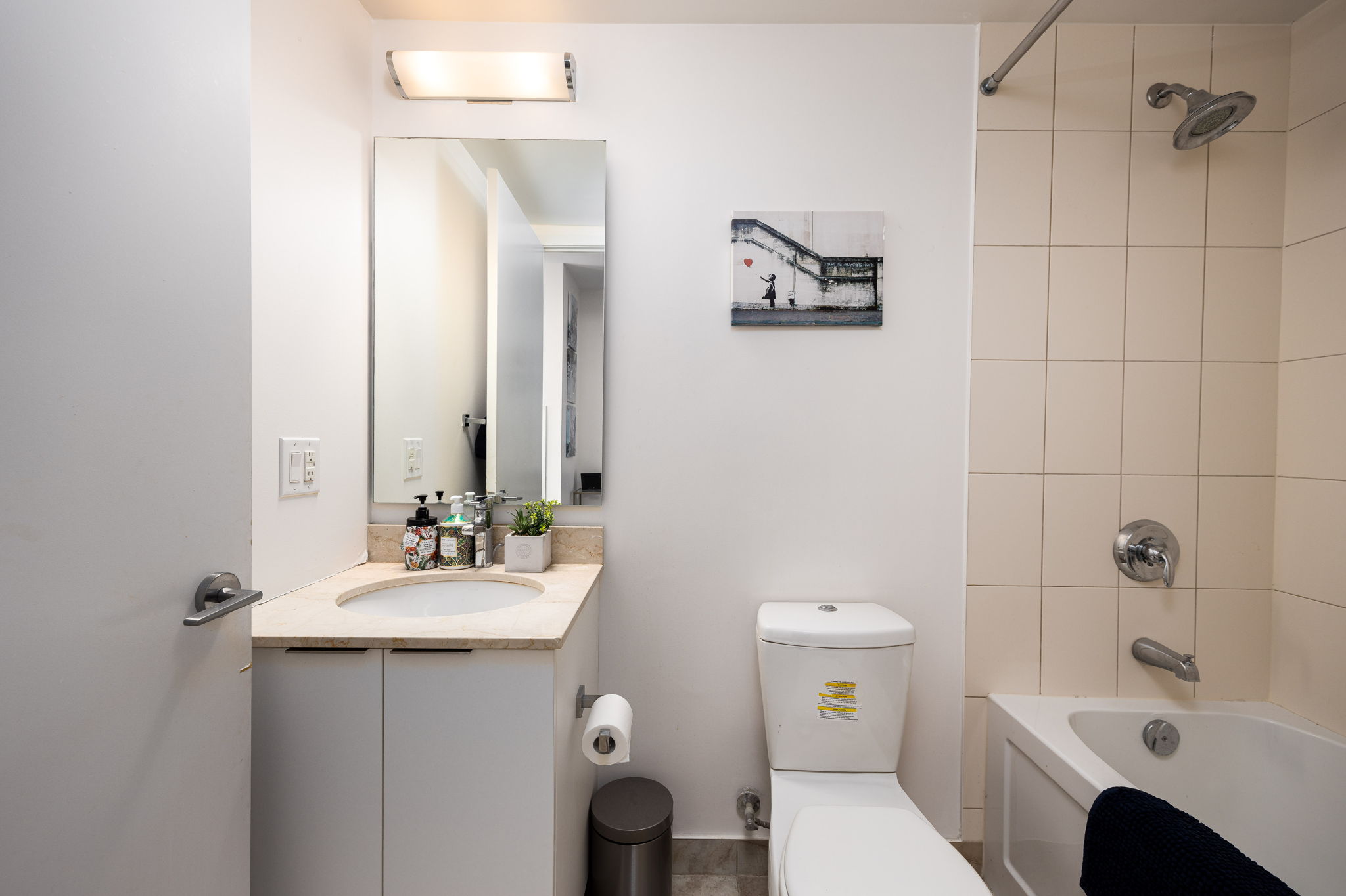 Toronto property showcase — delivered property photograph 11