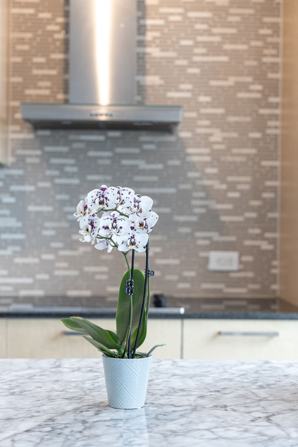 Toronto property showcase — delivered property photograph 32