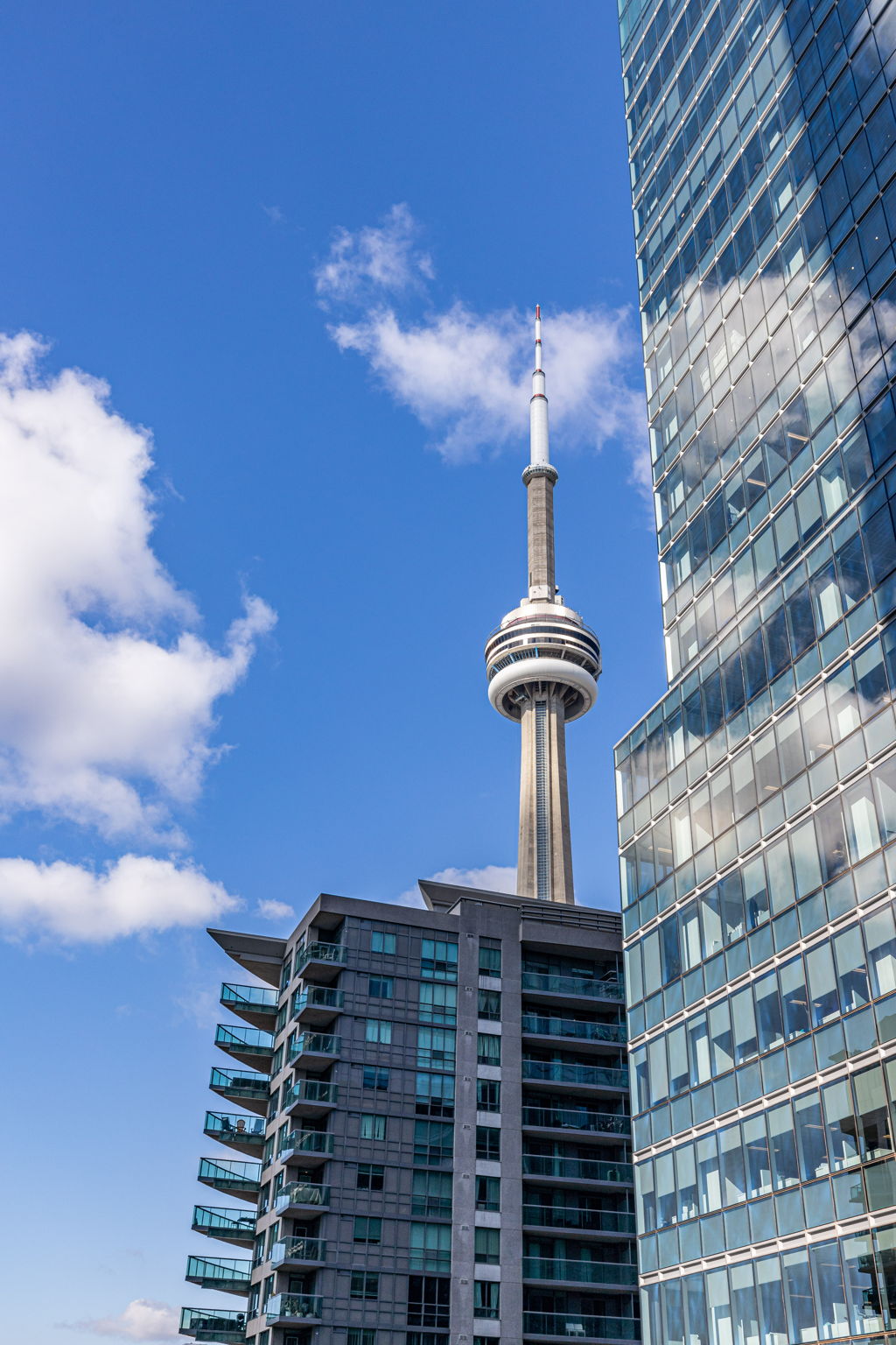 Toronto property showcase — delivered property photograph 38