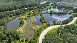  Photo 45