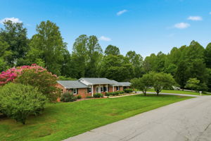 Front Yard