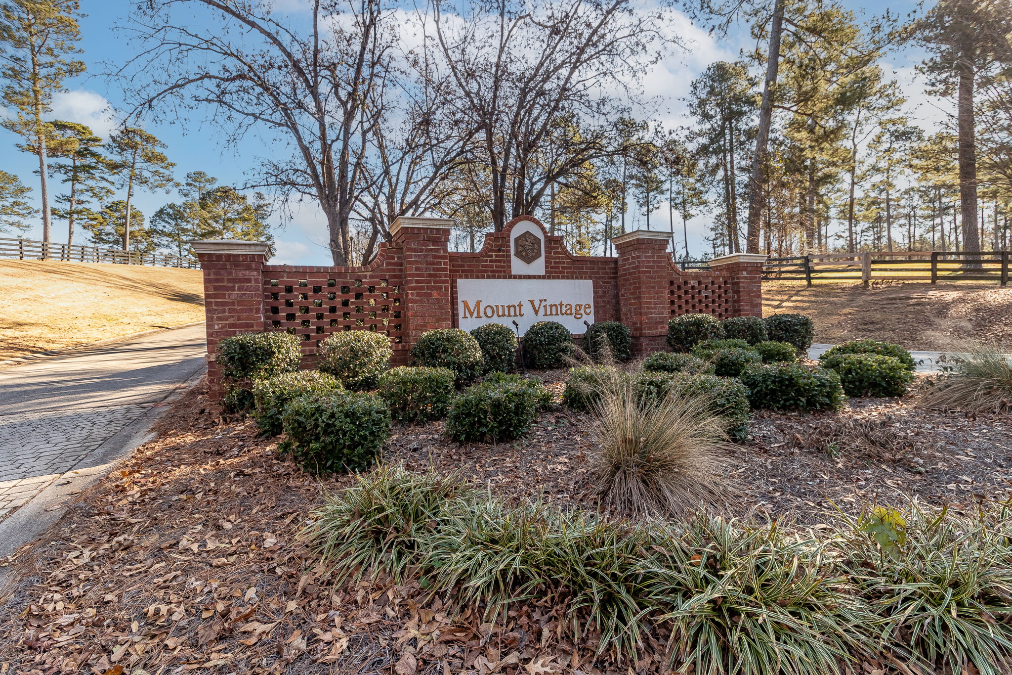 Welcome To Mount Vintage