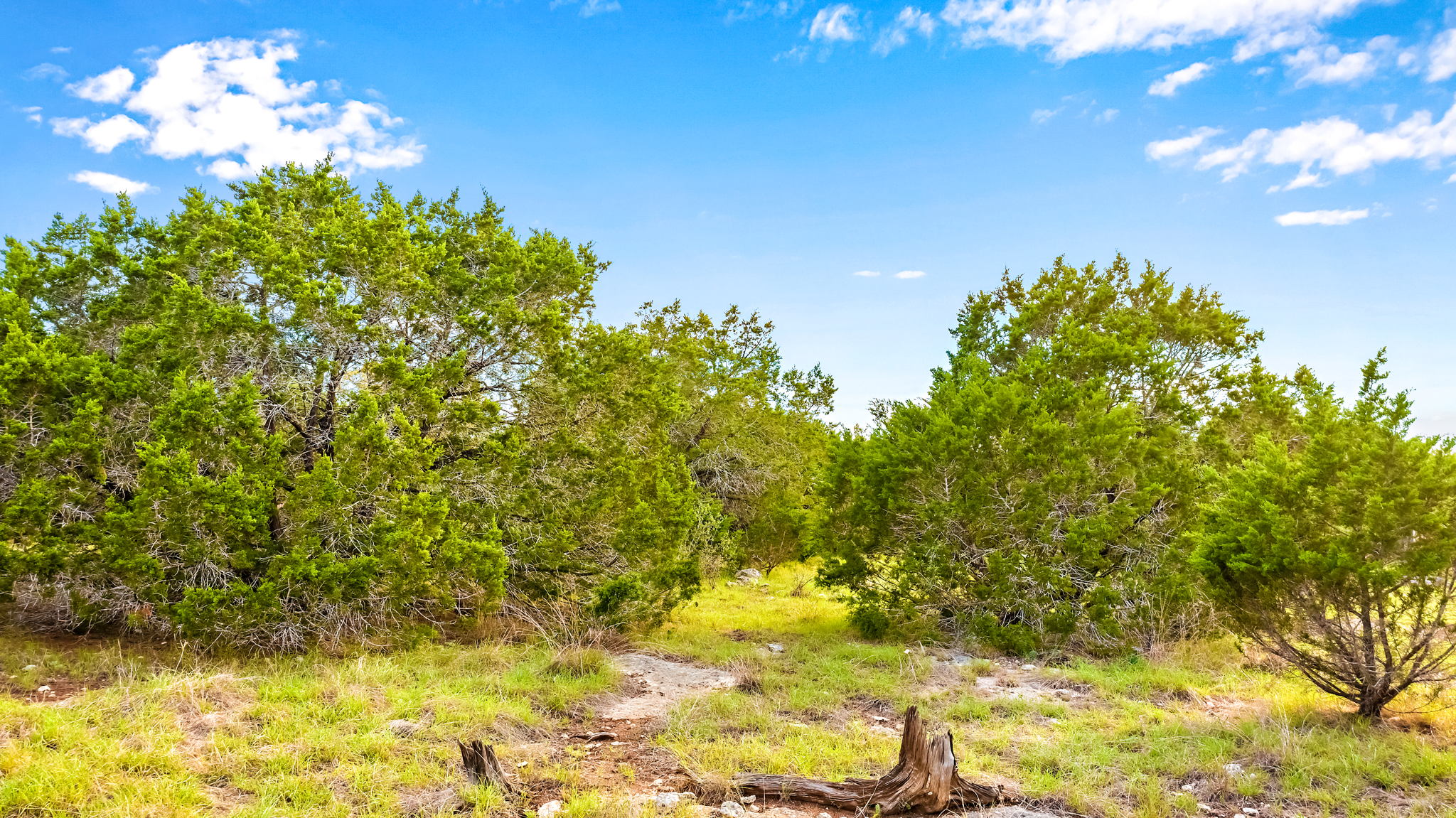 140 Mallard Dr, Boerne, TX 78006 MrHevia Media