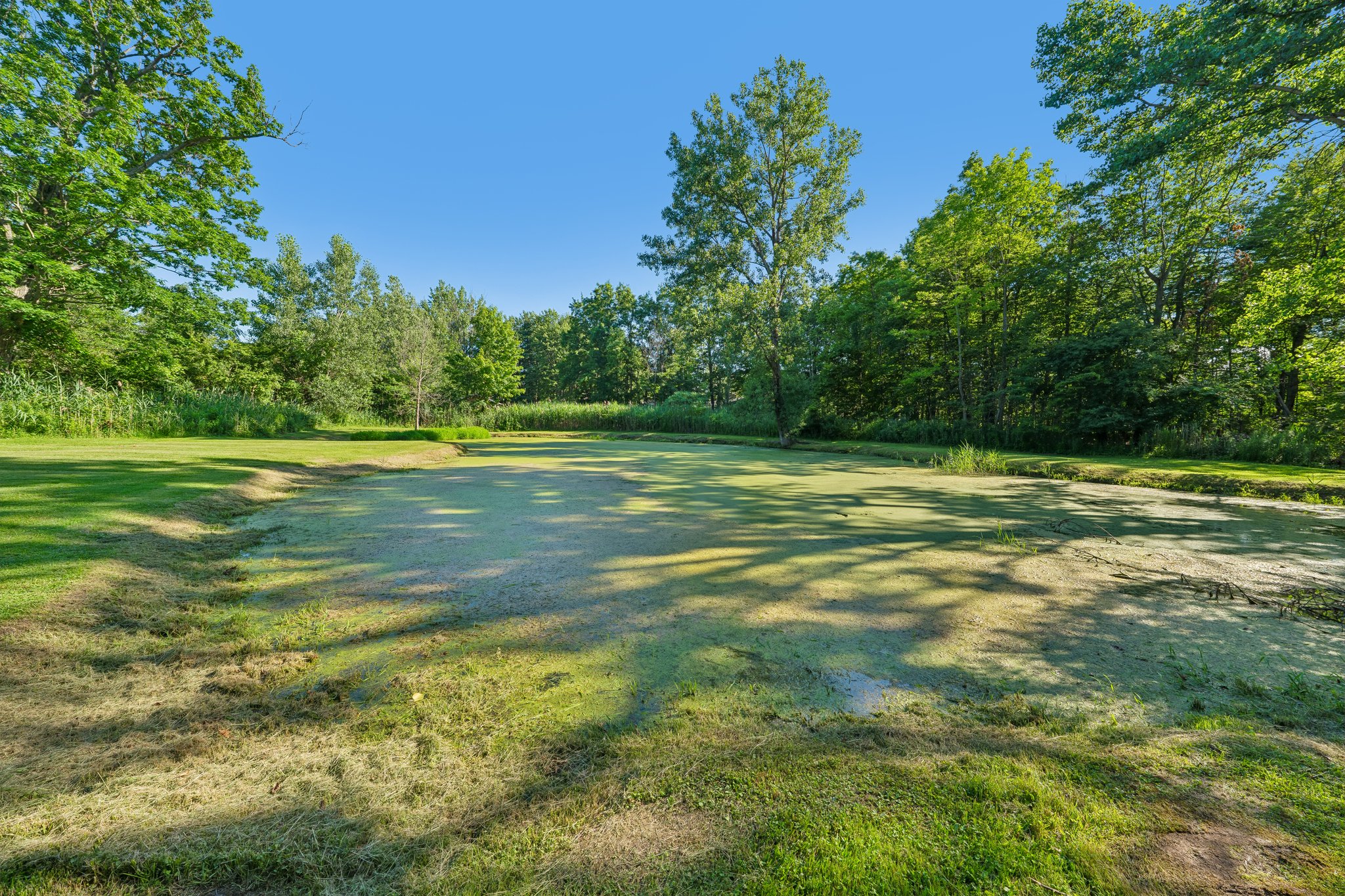 S Jerge Dr-S0907-099.jpg