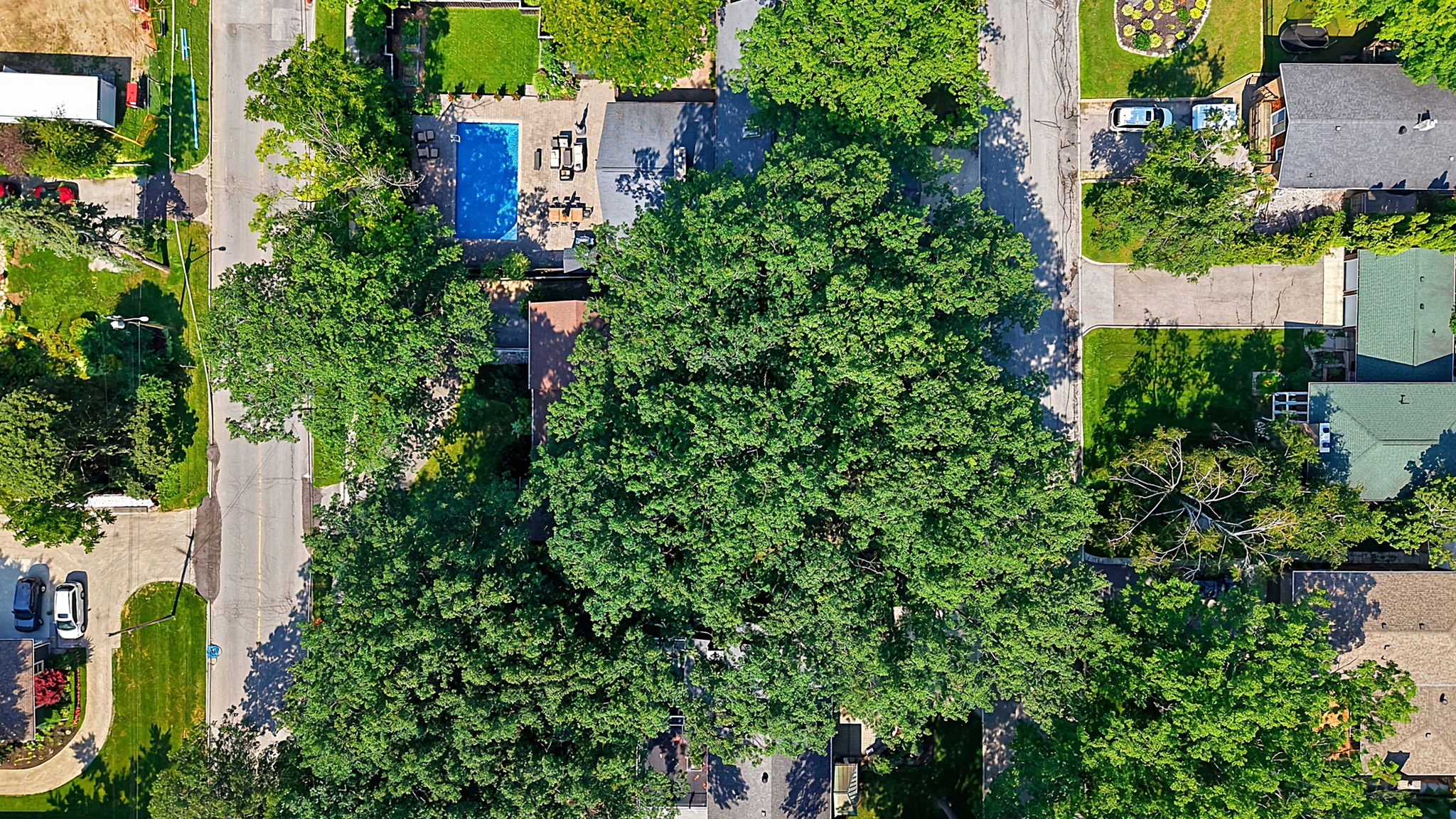  Photo 85
