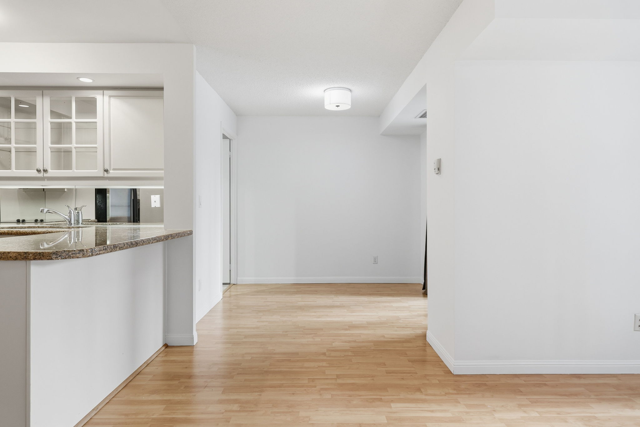 Toronto property showcase — delivered property photograph 27