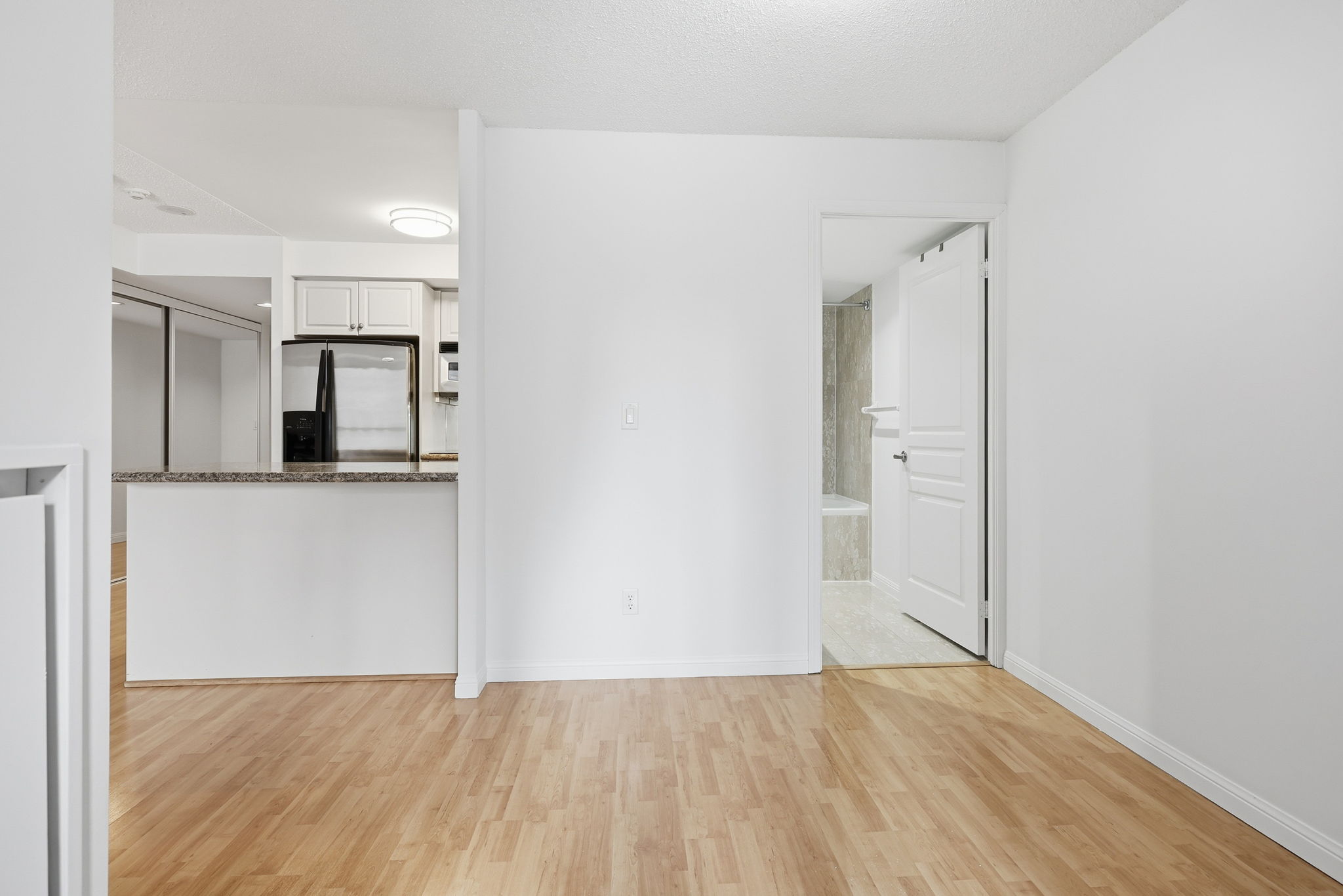 Toronto property showcase — delivered property photograph 28