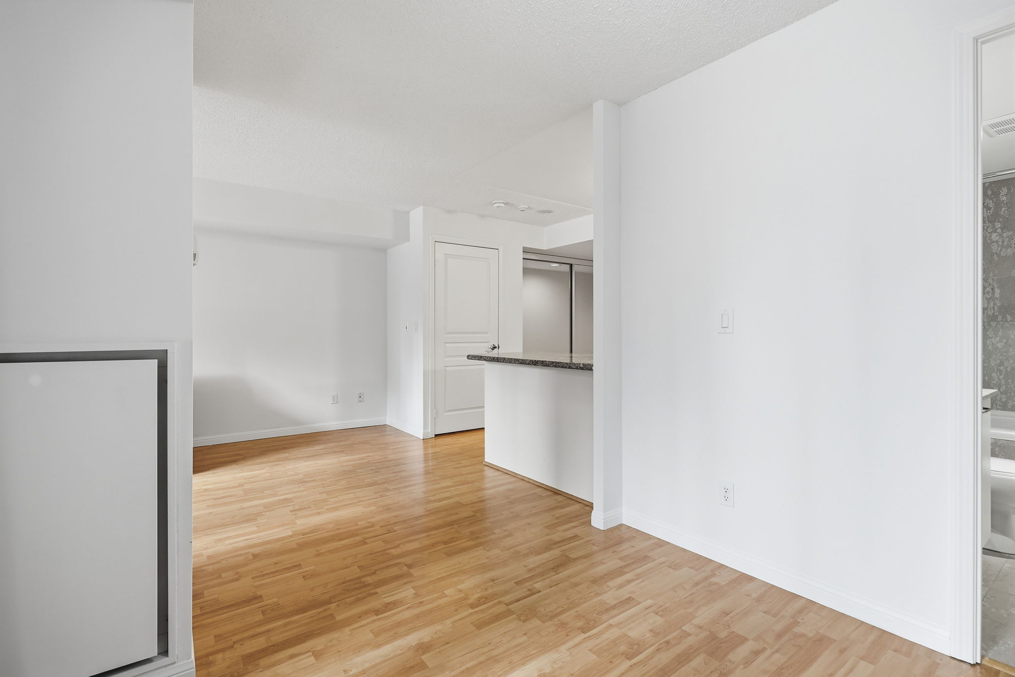 Toronto property showcase — delivered property photograph 32