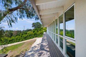 31 - Window Ledge