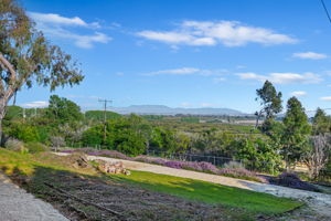 32 - Back Yard