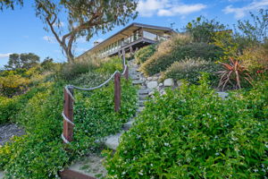 35 - Back Yard Stairs