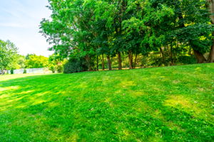 140 Victor Blvd, Hamilton-49