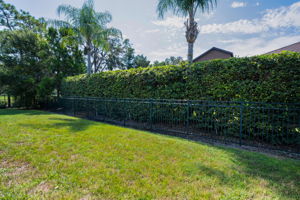 Backyard1