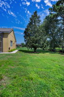 Backyard4