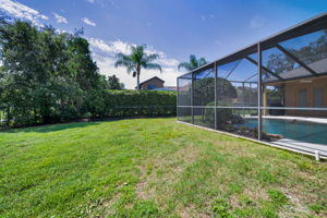 Backyard8