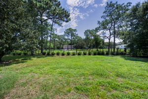 Backyard9