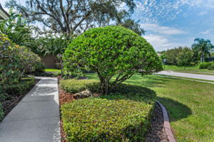 Frontyard