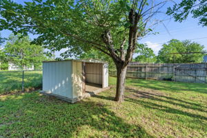  Photo 41