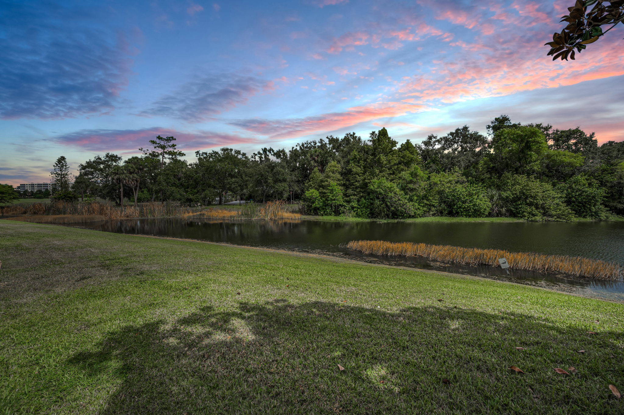 Backyard1
