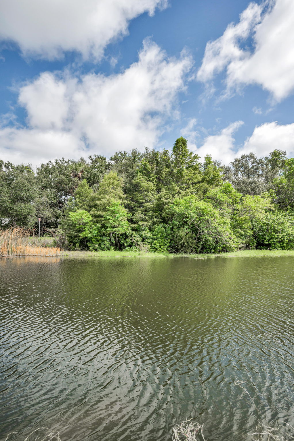 Water View2