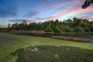 Backyard1