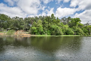 Water View3