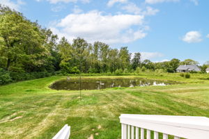 Pond