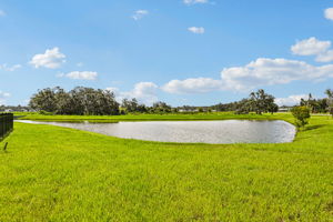 Tampa - Salt Meadows - 14005 Crutchfield Ct Parrish FL 34219 - 029