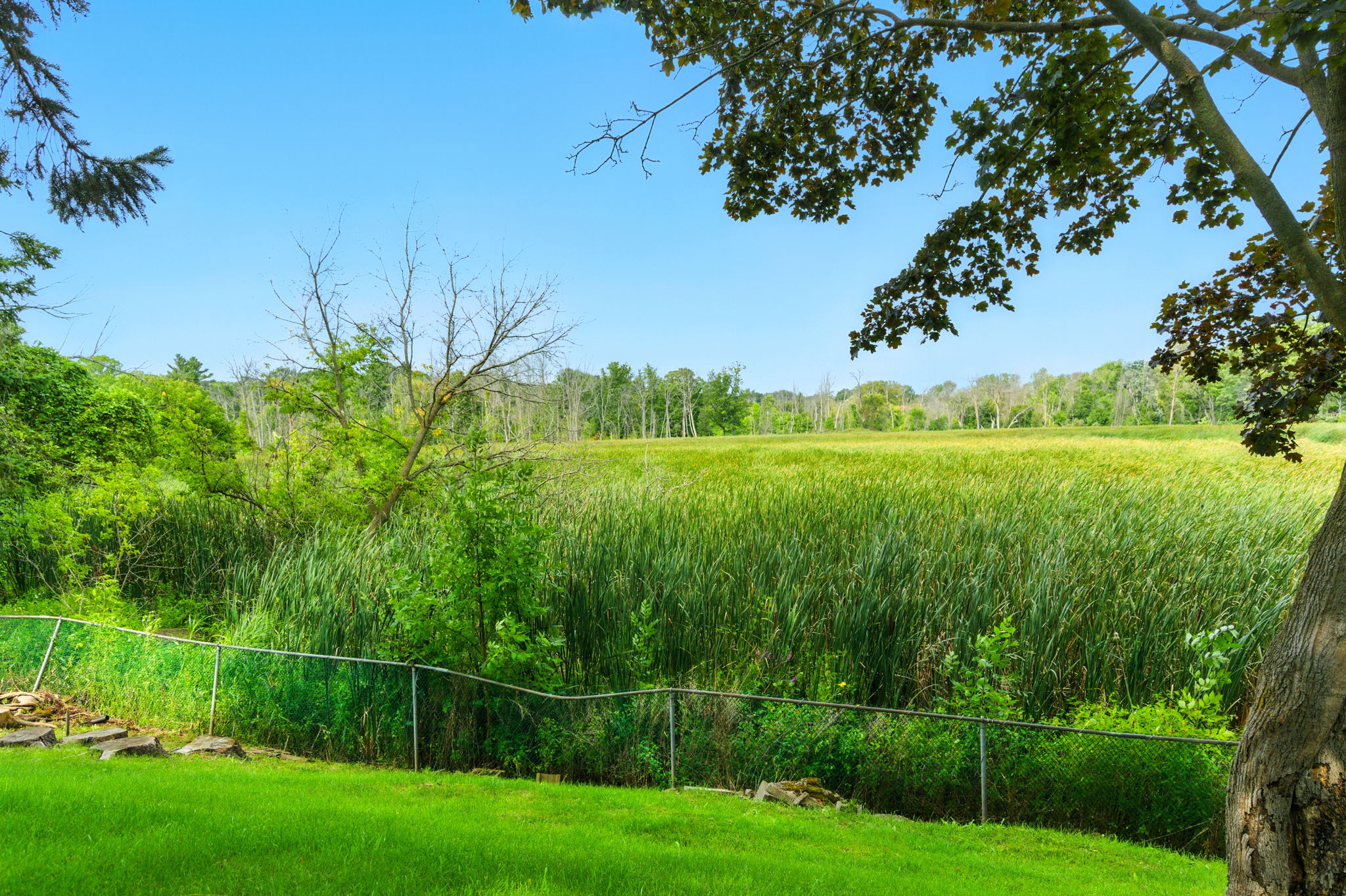  Photo 64