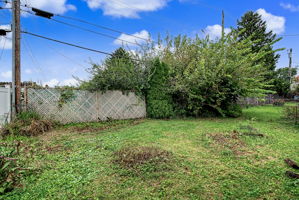  Photo 45