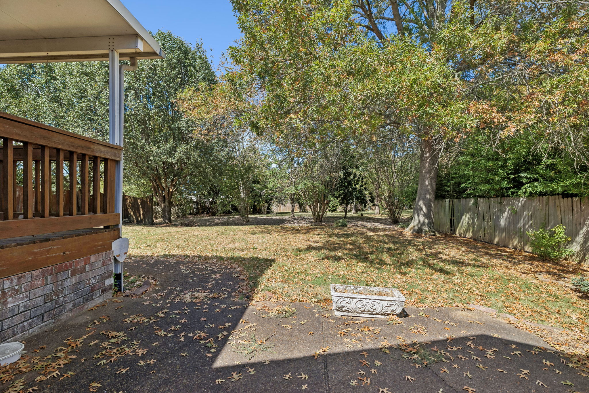  Photo 41