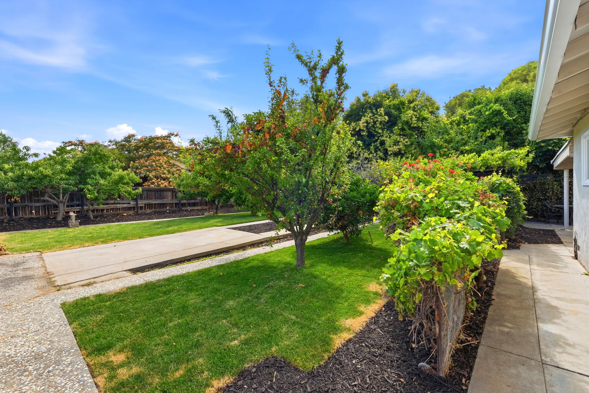 048_F8_1401 Monterey Dr