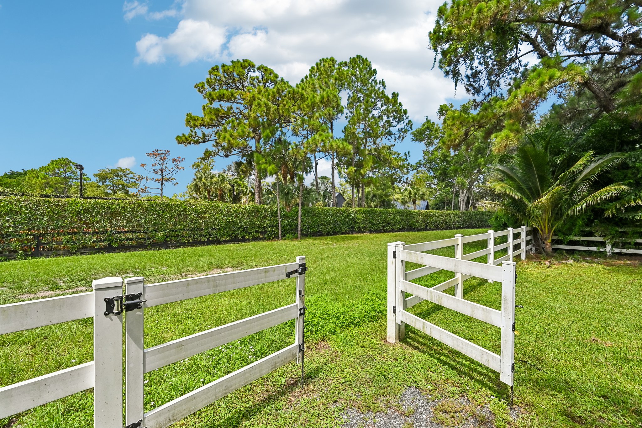 Pelham Rd-S3007-056.jpg