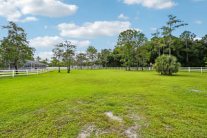 Pelham Rd-S3007-050.jpg