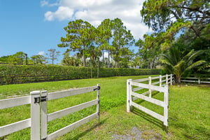 Pelham Rd-S3007-056.jpg