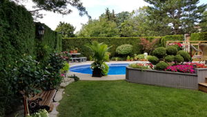  Photo 49
