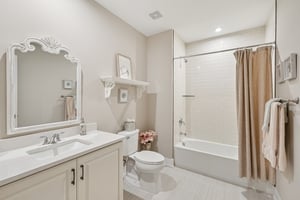 Lower Level Bathroom