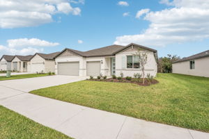 Tampa Division - Salt Meadows - Lot 228 - 14014 Ginnie Springs Way, Parrish, FL-004