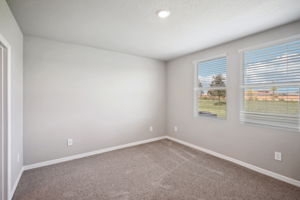 Tampa Division - Salt Meadows - Lot 402 - 14016 Crutchfield CT. Parrish, FL - 027
