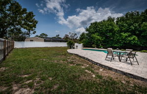 Backyard1