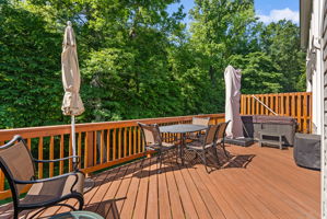 Rear Deck