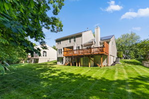 Rear Yard