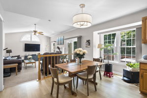 Dining Area and Family Room