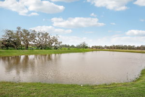 Tampa Division - Salt Meadows - Lot 394 - 14025 Crutchfield Ct, Parrish, FL-033