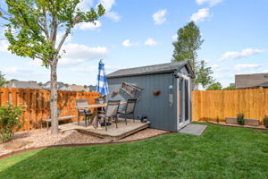 Backyard / shed